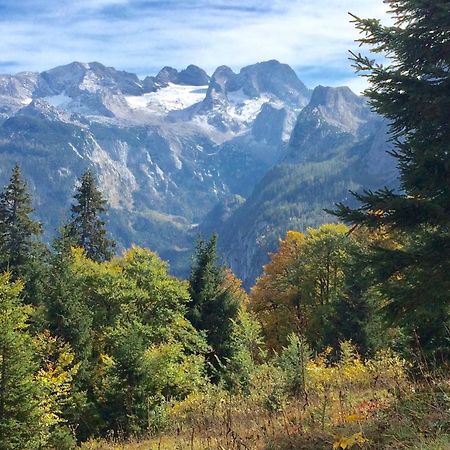 Dachstein Mountainview Gosau Apartman Kültér fotó