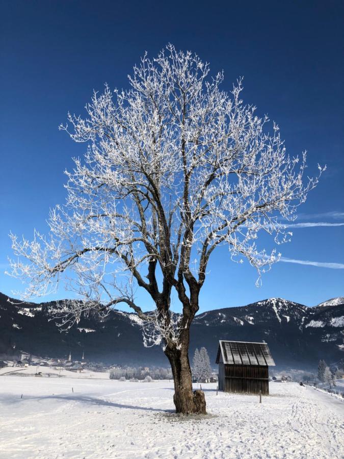Dachstein Mountainview Gosau Apartman Kültér fotó