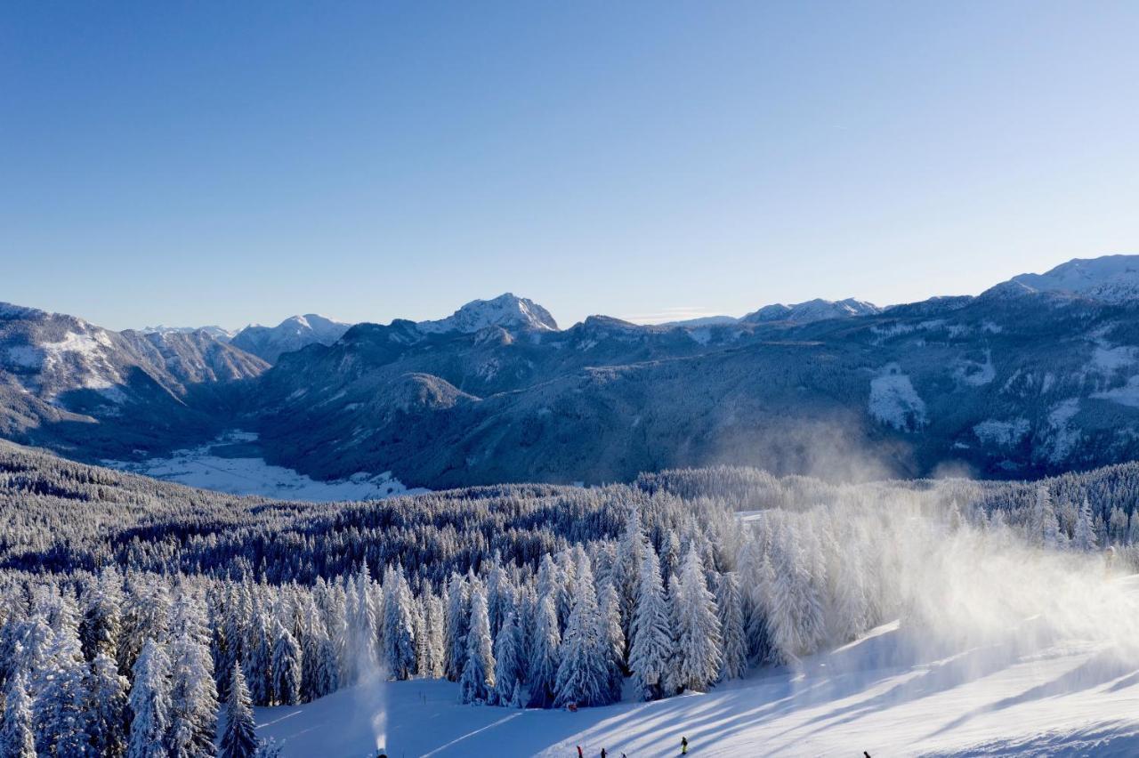 Dachstein Mountainview Gosau Apartman Kültér fotó