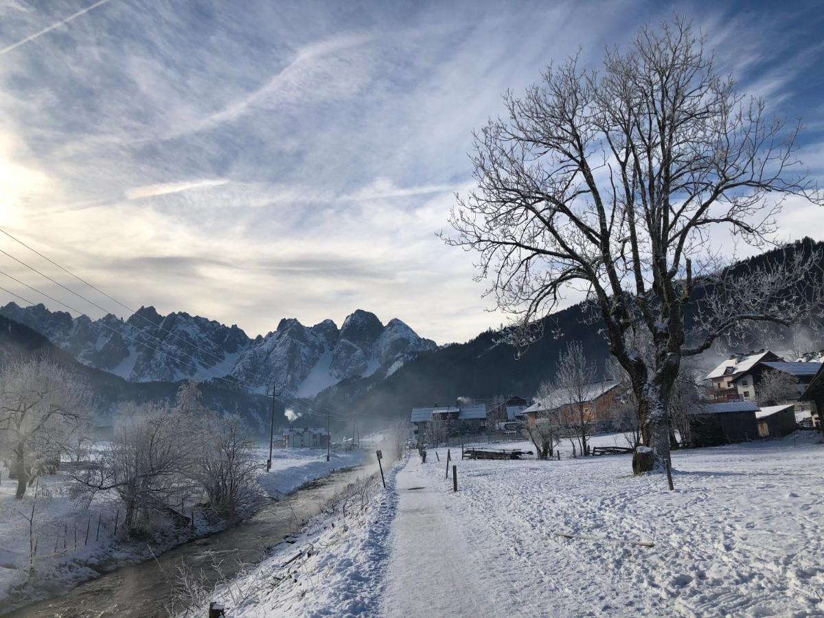 Dachstein Mountainview Gosau Apartman Kültér fotó
