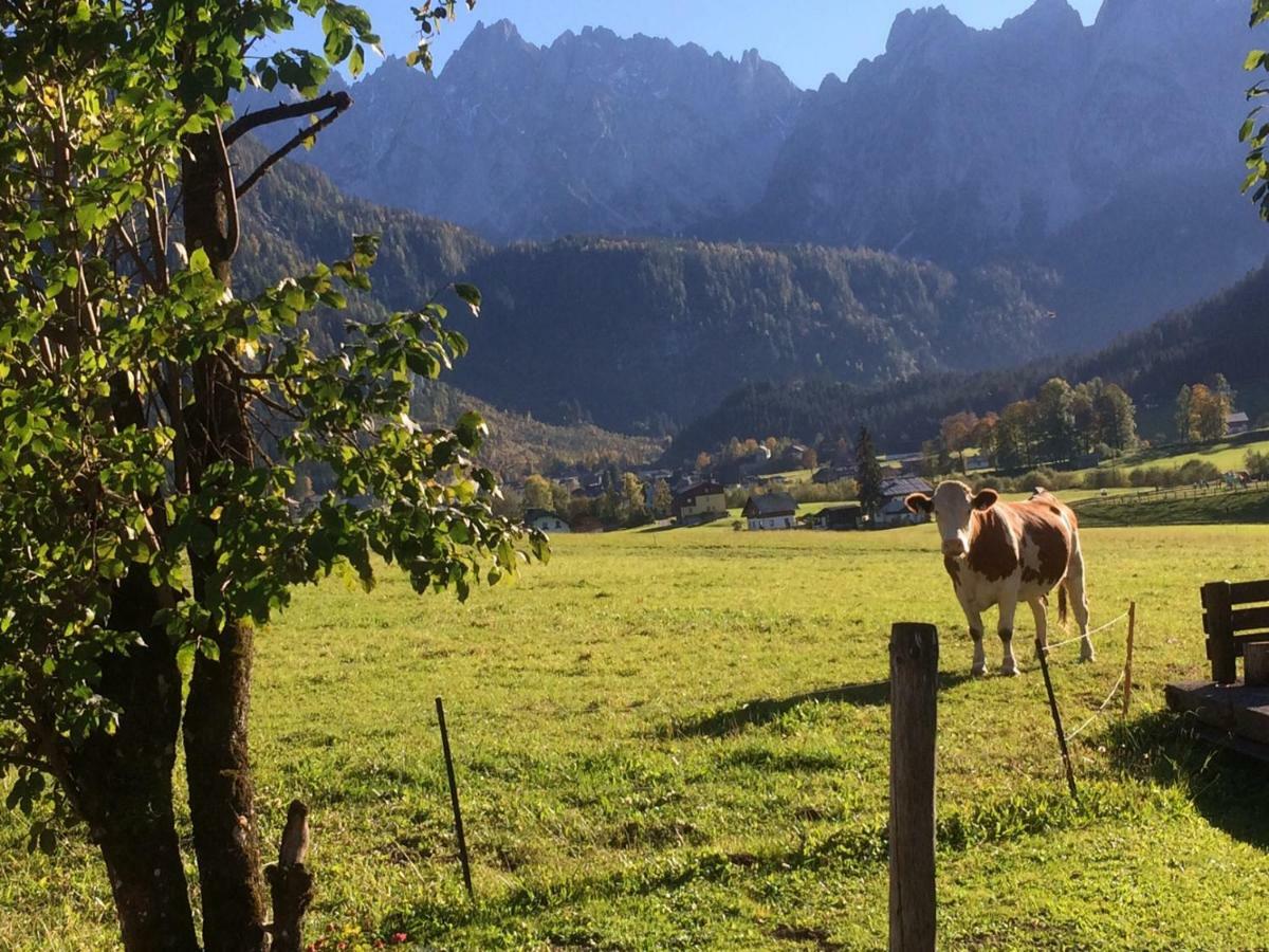 Dachstein Mountainview Gosau Apartman Kültér fotó