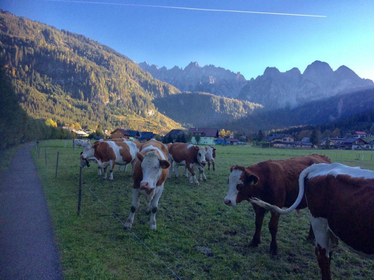 Dachstein Mountainview Gosau Apartman Kültér fotó