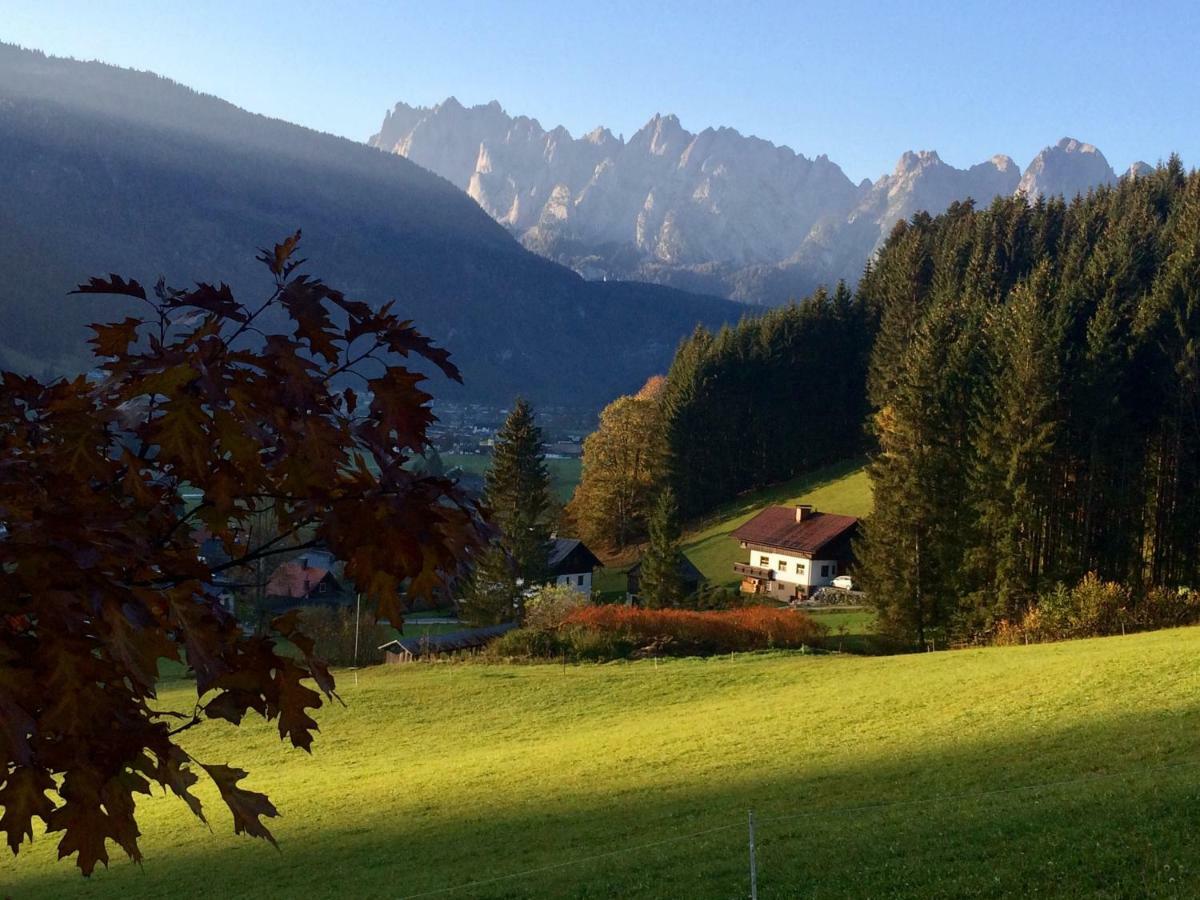 Dachstein Mountainview Gosau Apartman Kültér fotó
