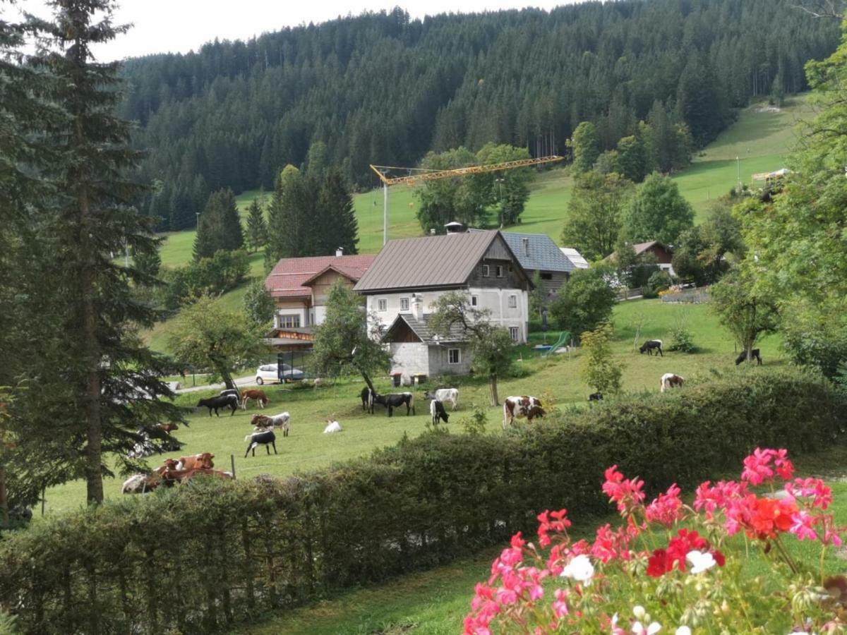 Dachstein Mountainview Gosau Apartman Kültér fotó